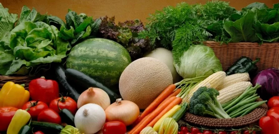 Giấy phép vệ sinh an toàn thực phẩm cửa hàng rau sạch an toàn
