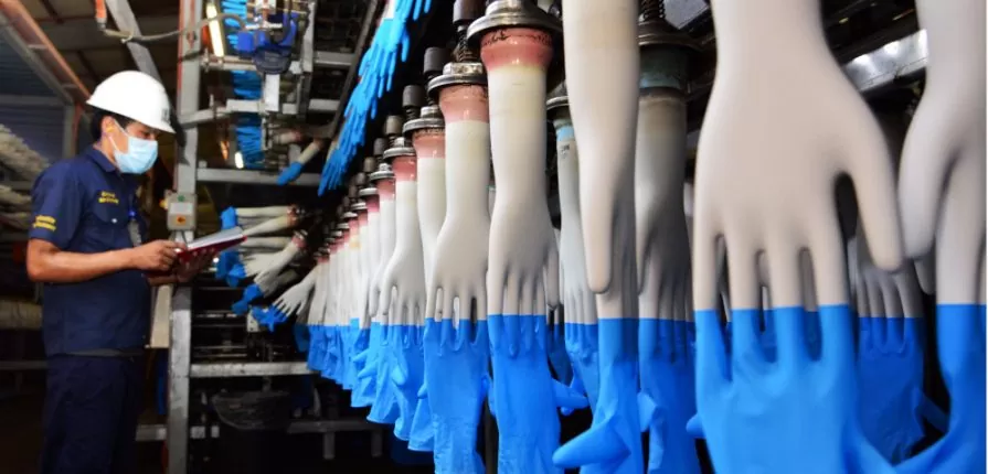 SX GĂNG TAY Y TẾ Cơ sở sản xuất găng tay y tế